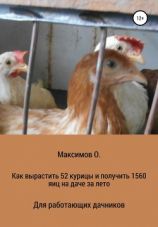 читать Как вырастить 52 курицы и получить 1560 яиц на даче за лето. Для работающих дачников