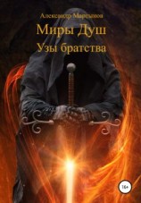 читать Миры Душ: Узы братства