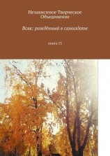 читать Всяк: рождённый в самиздате. Книга 13