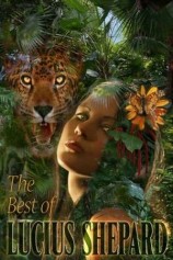 читать Знаток тюрьмы