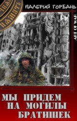 читать Мы придем на могилы братишек