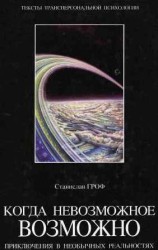 читать Когда невозможное возможно: Приключения в необычных реальностях