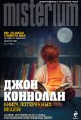 читать Книга потерянных вещей