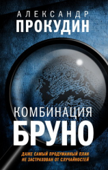 читать Комбинация Бруно