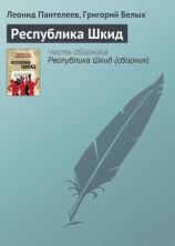 читать Республика ШКИД (большой сборник)