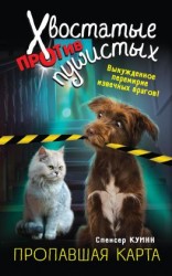 читать Пропавшая карта