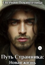 читать Путь Странника: Новая Жизнь