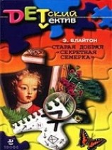 читать Старая добрая Секретная семерка (Тайна подзорной трубы)