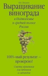 читать Выращивание винограда в Подмосковье и средней полосе России