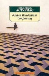 читать Юный владетель сокровищ