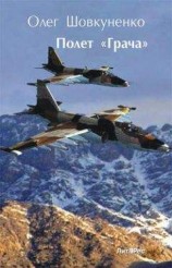читать Полет «Грача»