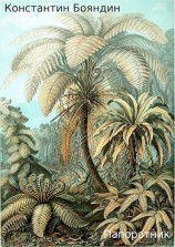 читать Папоротник