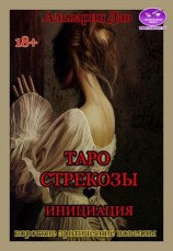 читать Таро Стрекозы. Инициация