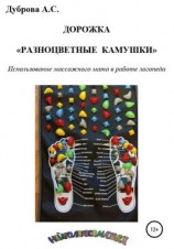 читать Дорожка «Разноцветные камушки». Использование массажного мата в работе логопеда