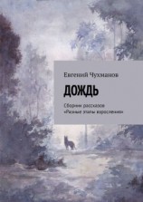 читать Дождь. Сборник рассказов «Разные этапы взросления»
