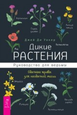 читать Дикие растения. Руководство для ведьмы. Обычные травы для необычной магии
