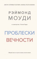 читать Проблески вечности. Общий опыт на пути в жизнь после жизни
