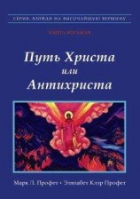 читать Путь Христа или Антихриста