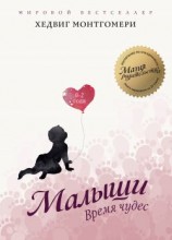 читать Малыши: Время чудес (02 года)