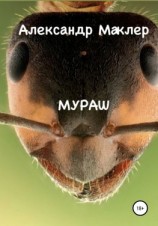 читать Мураш
