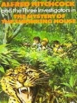 читать Тайна зигзага