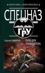читать Пуля для ликвидатора