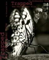 читать Дело Кристофера