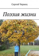 читать Поэзия жизни
