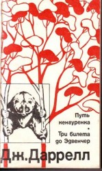 читать Три билета до Эдвенчер. Путь кенгуренка