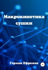 читать Макрокинетика сушки