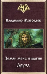 читать Земли меча и магии. Друид