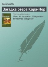 читать Загадка озера Кара-Нор