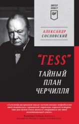читать «ГESS». Тайный план Черчилля