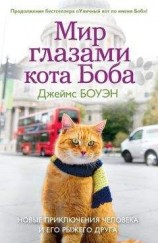 читать Мир глазами кота Боба. Новые приключения человека и его рыжего друга