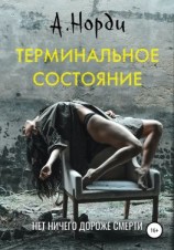читать Терминальное состояние