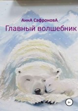 читать Главный волшебник