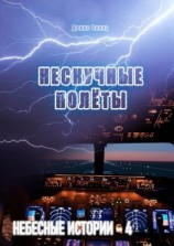 читать Нескучные полёты. Небесные истории  4