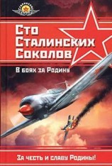 читать Сто сталинских соколов. В боях за Родину