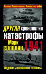 читать Другая хронология катастрофы 1941. Падение «сталинских соколов»
