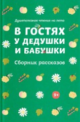 читать В гостях у дедушки и бабушки. Сборник рассказов