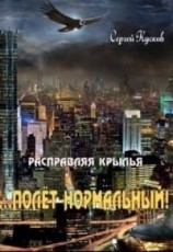 читать Полет нормальный