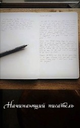 читать Начинающий писатель
