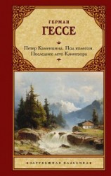 читать Петер Каменцинд. Под колесом. Последнее лето Клингзора. Душа ребенка. Клейн и Вагнер