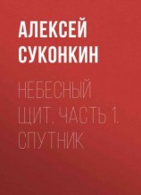 читать Небесный щит. Часть 1. Спутник