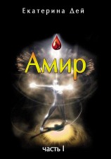 читать Амир