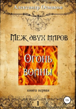 читать Меж двух миров, книга первая: Огонь войны