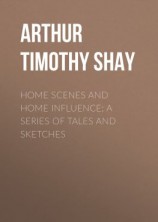 читать Home Scenes and Home Influence; a series of tales and sketches