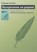 читать Воскресение на родине
