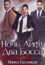 читать Ночь. Лифт. Два Босса