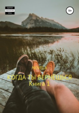 читать Когда ты вернешься. Книга 1